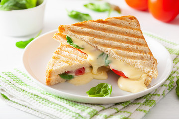 grilled cheese and tomato sandwich on white background