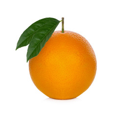 Fresh orange from the farm on a white background