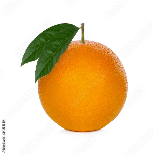 Download 930+ Background Information Of Orange Farm Paling Keren
