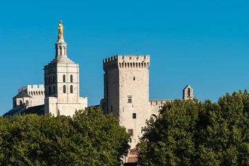 Fototapeta na wymiar Blick auf Kathedrale und Papstpalast in Avignon