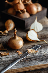 Fresh onions on rustic wooden background. Onions background. Ripe onions. 