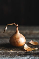 Fresh onions on rustic wooden background. Onions background. Ripe onions.  - obrazy, fototapety, plakaty