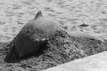 Delfin aus schwarzem Sand © Oliver