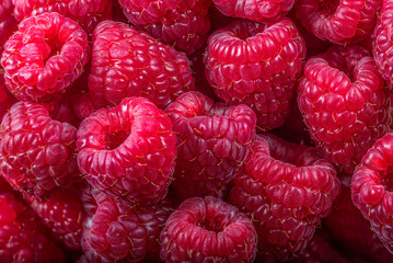 Himbeeren