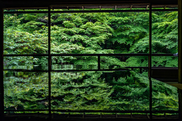 新緑の瑠璃光院