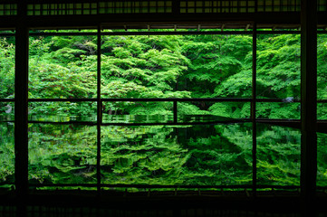 新緑の瑠璃光院