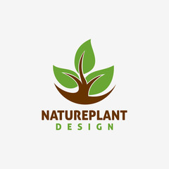 Nature plant logo design