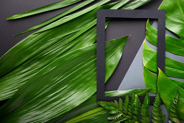 Tropical leaves and paper frame on dark background