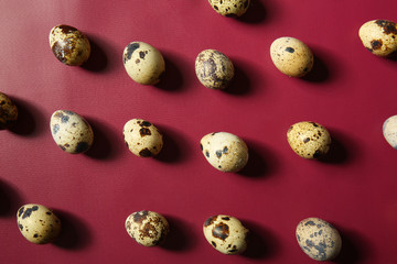 Many quail eggs on color background