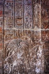 hieroglyph in temple of queen hatsepsut