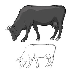Black Cow graze. Cow in lines. Cow on white background. Cow ore. Vector