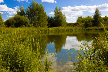 Fototapeta na wymiar A view of a small cozy pond with overgrown shores. Reeds and grass near the lakeshore. Rural summer nature landscape. Relaxation on summer day. Ideal nesting area for wild ducks