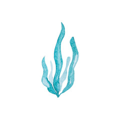 Hand drawn watercolor seaweed