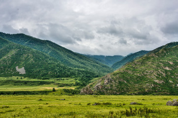Obraz premium Picturesque gloomy cloudy summer landscape of mountain valley with green grass and bushes covered and with scattered boulders in the Altai Mountains, Russia. 