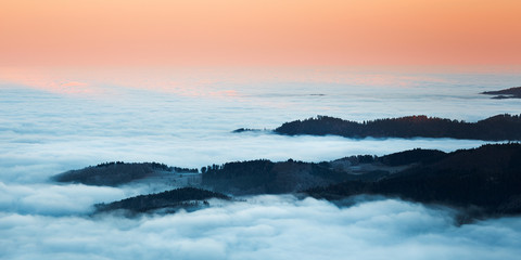Naklejka premium Nebelmorgen im Schwarzwald