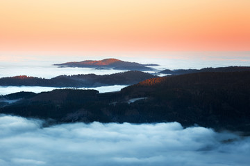 Nebelmorgen im Schwarzwald