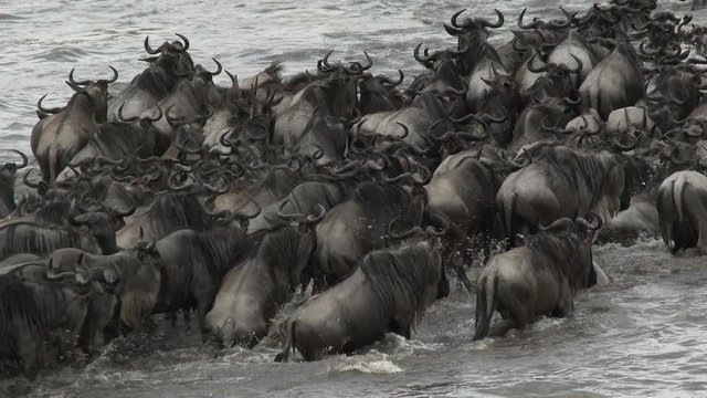 Mara Crossing