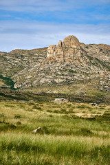 Fototapeta na wymiar Beautiful panoramic summer steppe landscape of stone mountains 