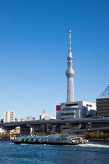 Obraz premium 隅田川とスカイツリー