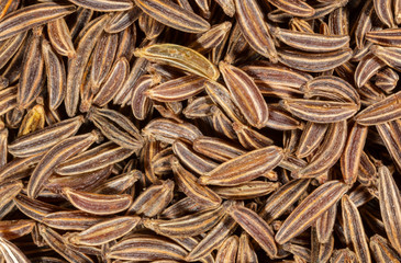 macro image of cumin seeds 2x magnification