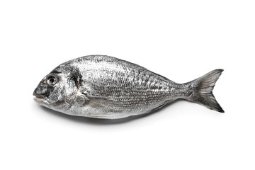 Fresh dorado fish on white background