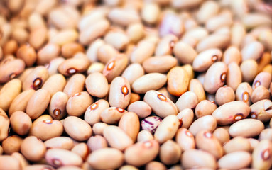 White beans background (Phaseolus) – food for veggies.