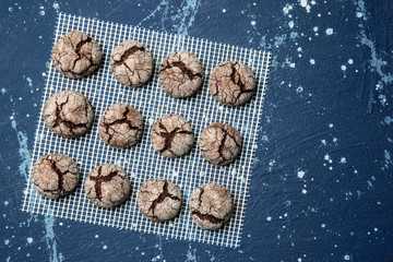 Tasty chocolate cookies on color background
