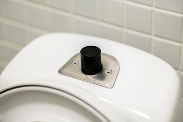 Flush button on the toilet bowl tank. Flushing toilet.