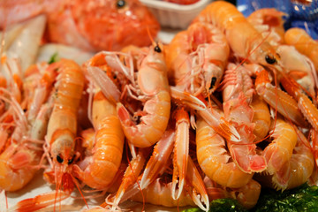 shellfish prawn-on on ice at the fish market - fresh sea food