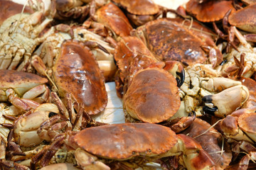 crabs on ice at the fish market fresh sea food