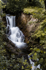 Obraz premium waterfall in the forest