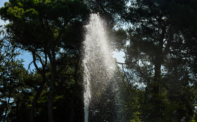Fountain water with trees in the background