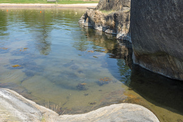 Fototapeta premium One of Stockholm's finest bathing beaches with, sandy beach, rocky bath, jumping tower and more
