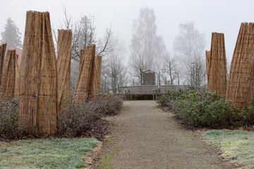 Winter im Rosenbeet und Staudenbeet