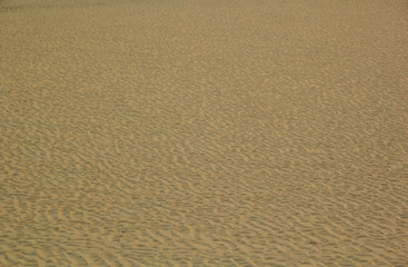 sand textured on the beach