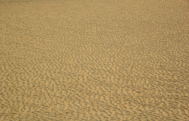 Fototapeta na wymiar sand textured on the beach