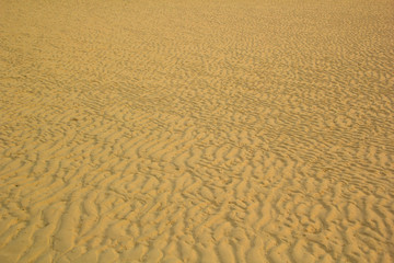 sand textured on the beach