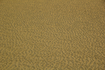 sand textured on the beach