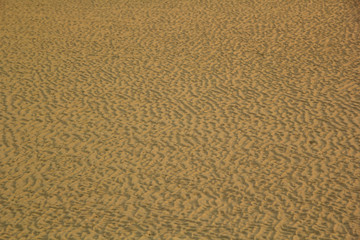 sand textured on the beach