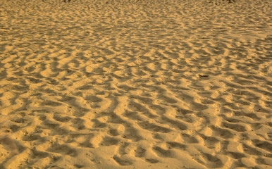 sand textured on the beach