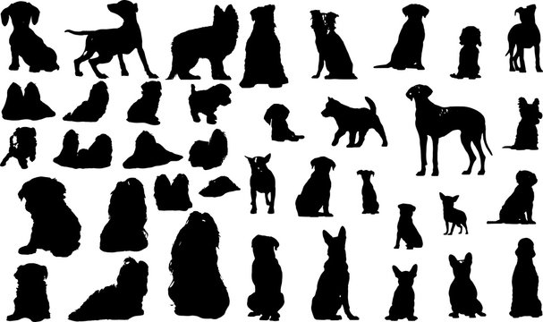 163 381 最適な 犬シルエット 画像 ストック写真 ベクター Adobe Stock 163 381 最適な 犬シルエット 画像 ストック写真 ベクター Adobe Stock