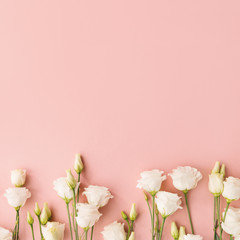 White flowers on pink background