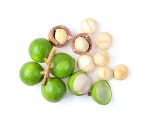 macadamia nut isolated on white background. top view - obrazy, fototapety, plakaty