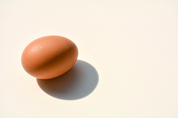 chicken egg with shadow on a pale white background
