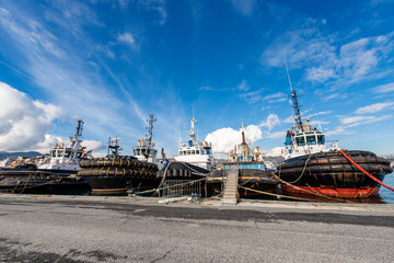 Tugboats in the Harbor of La Spezia Italy