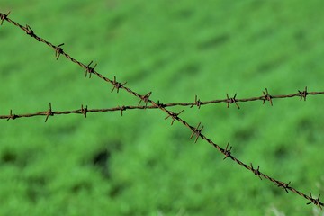 prison wall background 