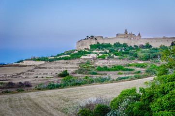 Obraz premium Alleys of Mdina, Malta, the silent city.