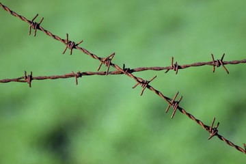 prison wall background 