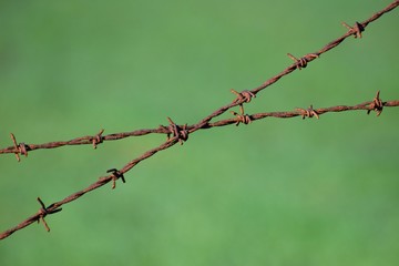 prison wall background 
