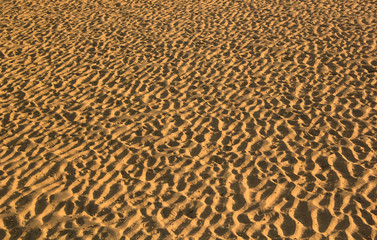sand textured on the beach
